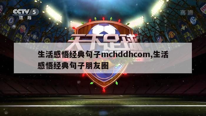 生活感悟经典句子mchddhcom,生活感悟经典句子朋友圈