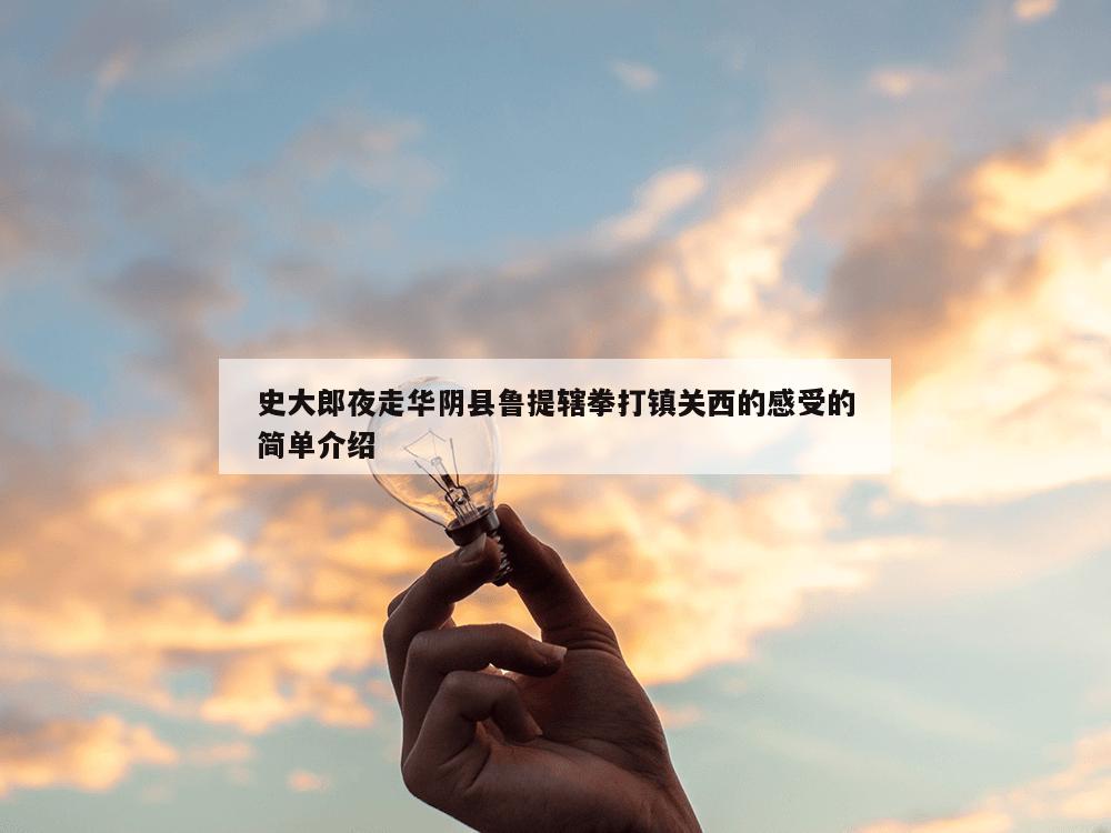 史大郎夜走华阴县鲁提辖拳打镇关西的感受的简单介绍