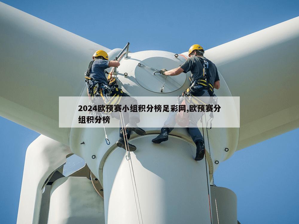 2024欧预赛小组积分榜足彩网,欧预赛分组积分榜