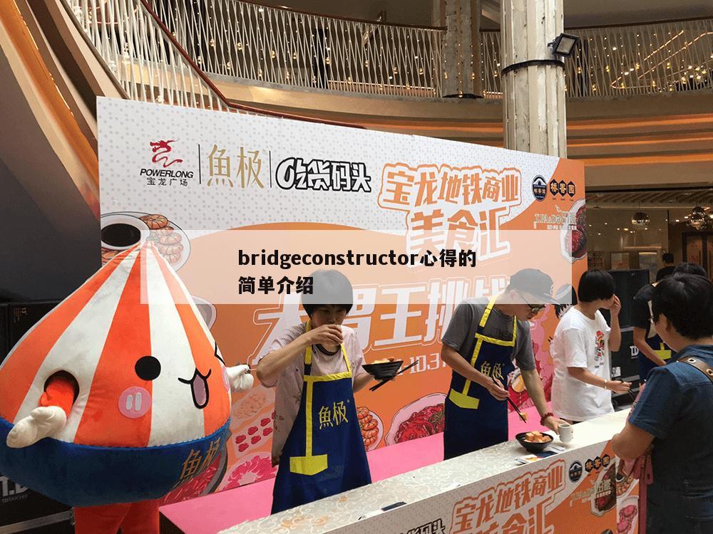 bridgeconstructor心得的简单介绍