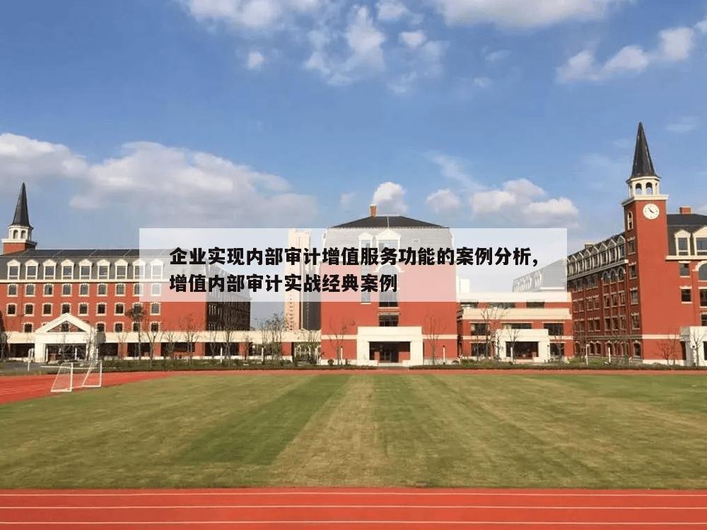 企业实现内部审计增值服务功能的案例分析,增值内部审计实战经典案例