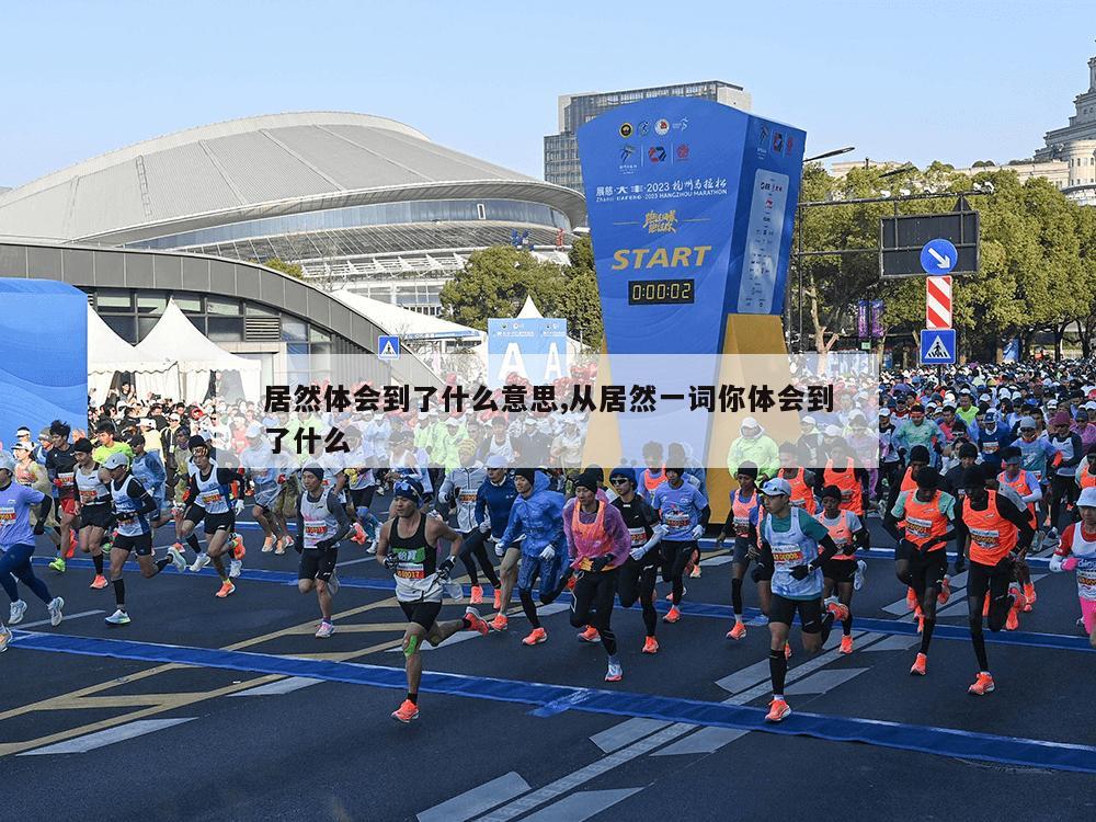 居然体会到了什么意思,从居然一词你体会到了什么