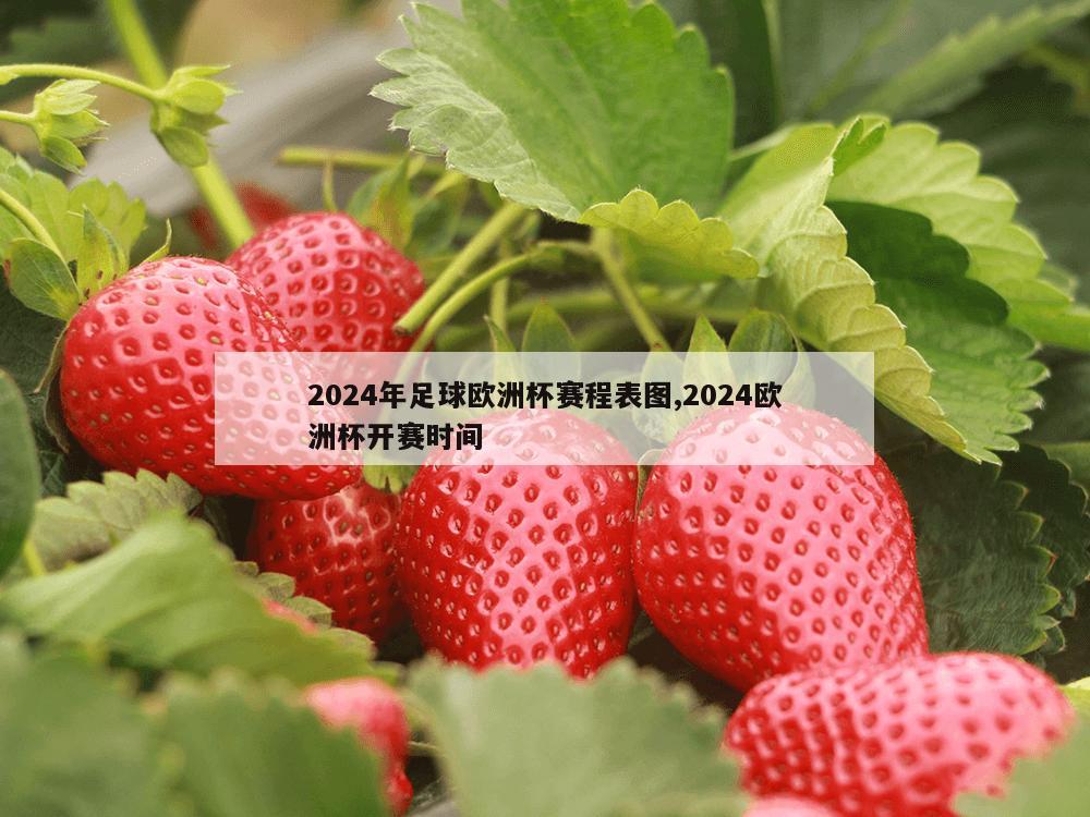 2024年足球欧洲杯赛程表图,2024欧洲杯开赛时间