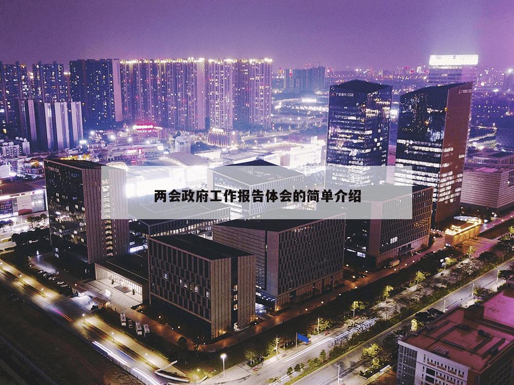 两会政府工作报告体会的简单介绍