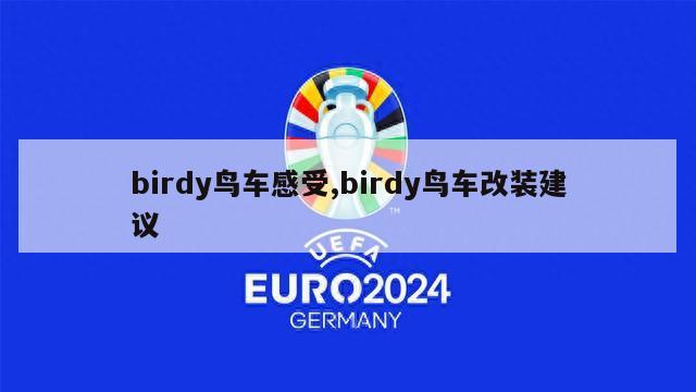 birdy鸟车感受,birdy鸟车改装建议